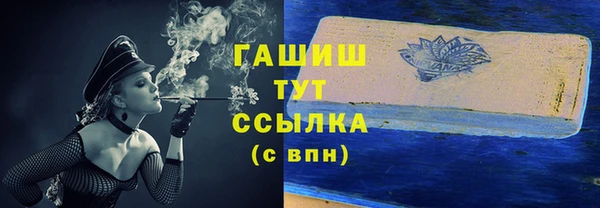 spice Гусев