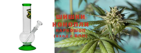 мдпв Гусь-Хрустальный