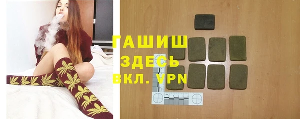 spice Гусев