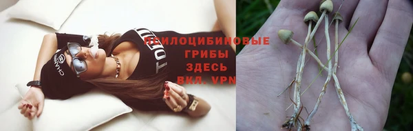 герыч Михайлов
