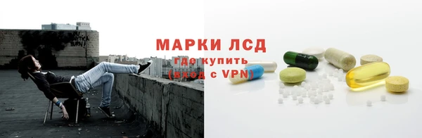 spice Гусев
