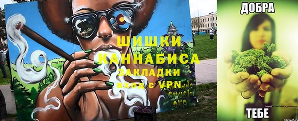 прущие грибы Горняк