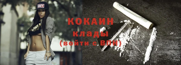 spice Гусев