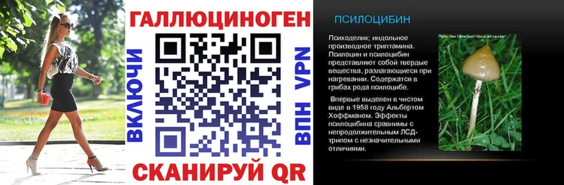 Галлюциногенные грибы Psilocybine cubensis Невьянск