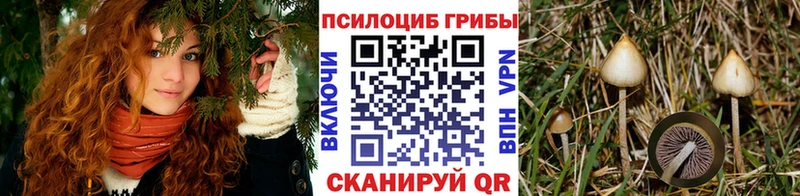 Галлюциногенные грибы прущие грибы  дарк нет официальный сайт  Невьянск  гидра как войти 