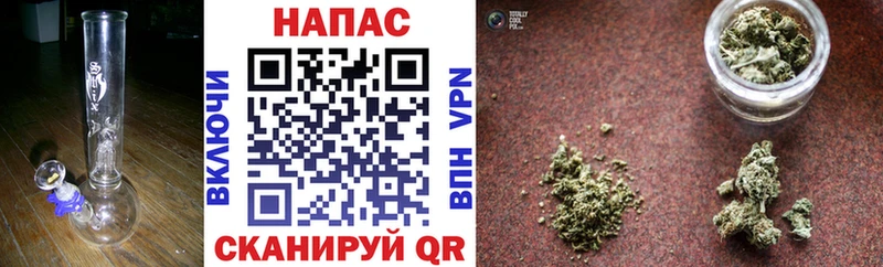 Конопля гибрид Невьянск